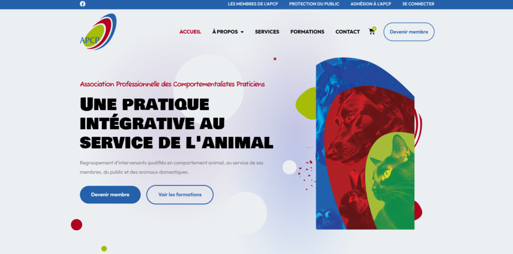 Portfolio 35